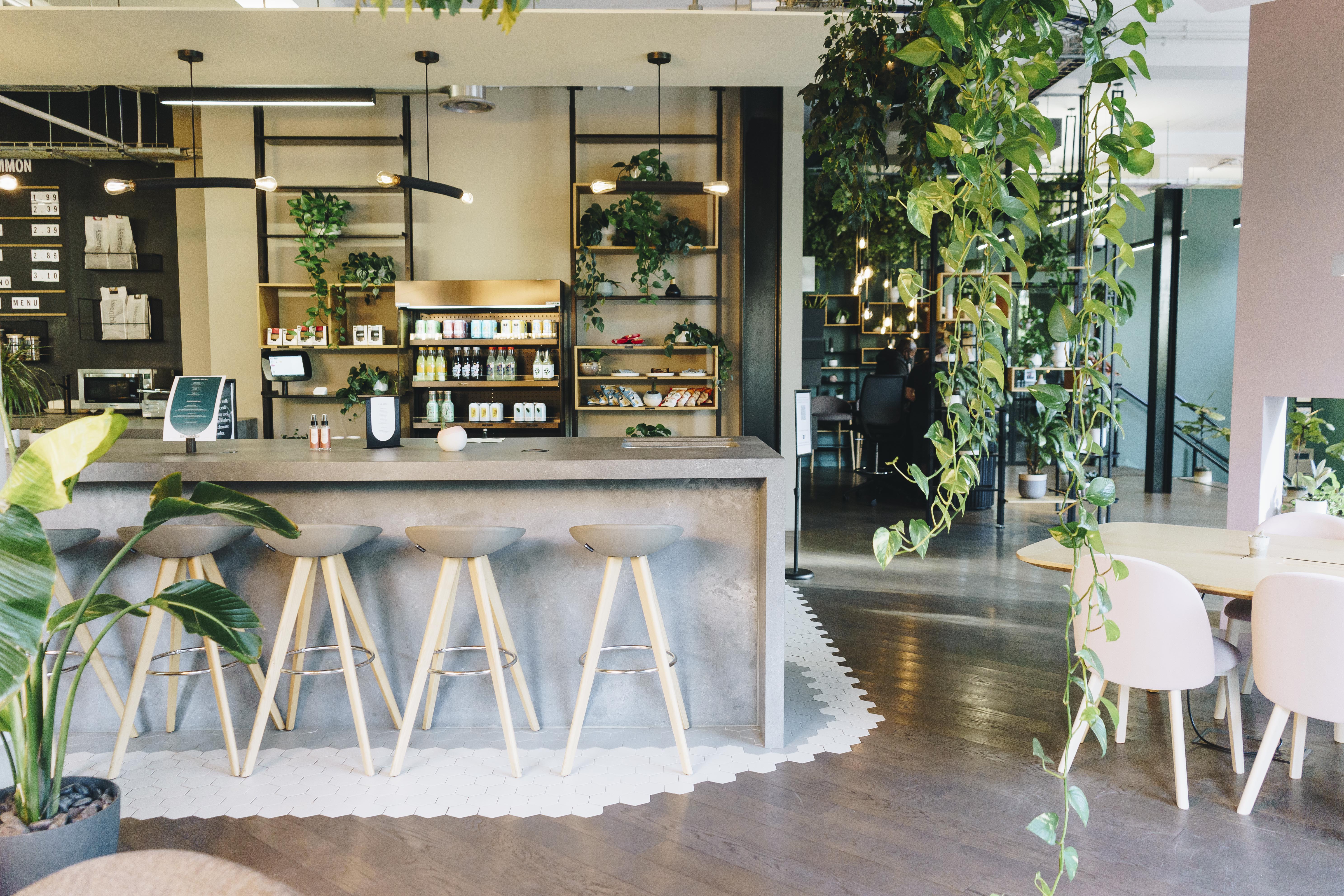 Modern Cafe Lounge in Uncommon Borough, ideal for meetings and events with natural light. - Banner