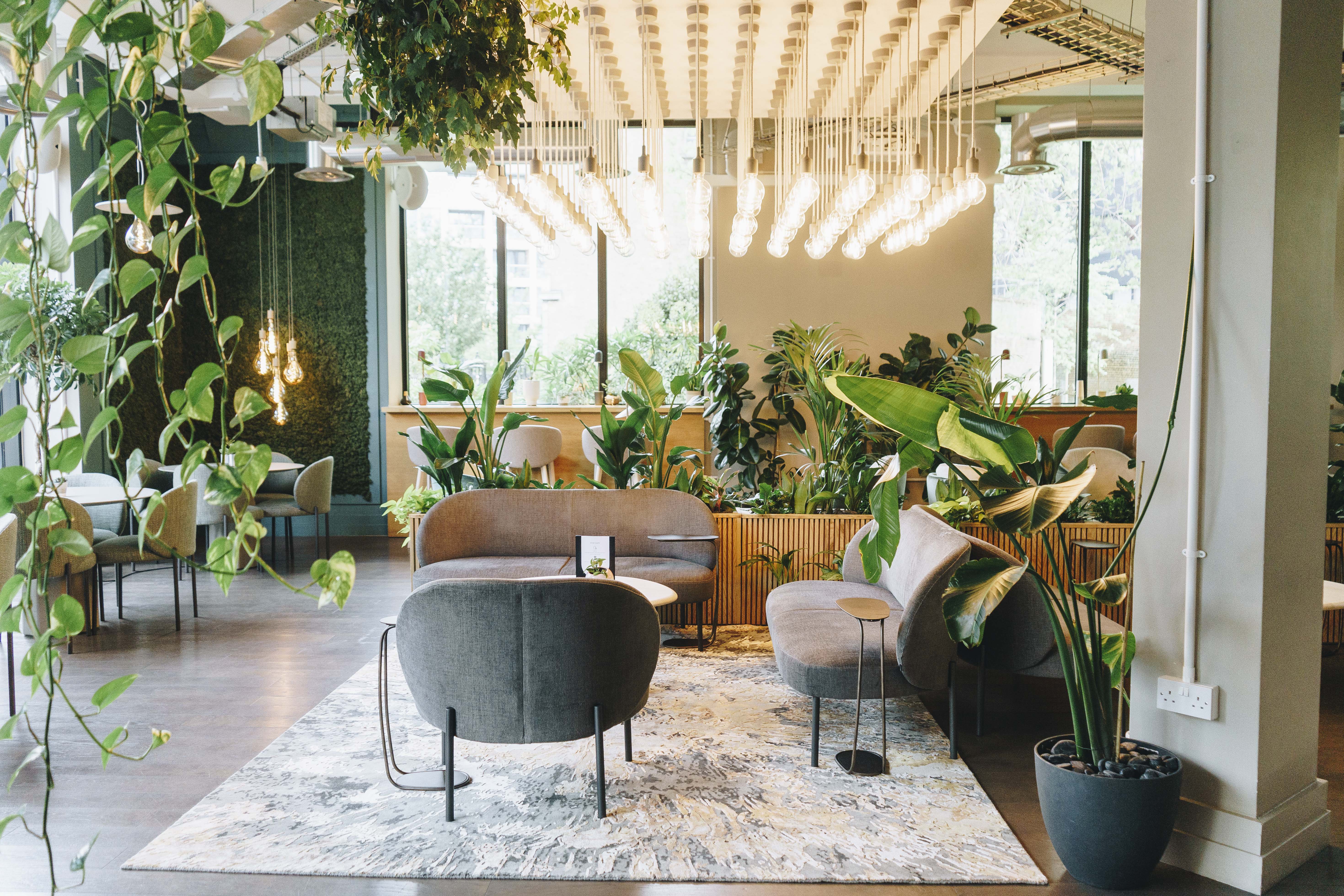 Modern lounge with greenery, ideal for networking and casual meetings in Uncommon Borough.