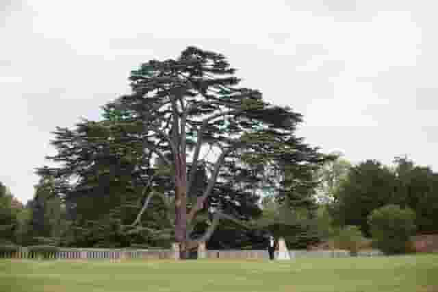 North Mymms Park