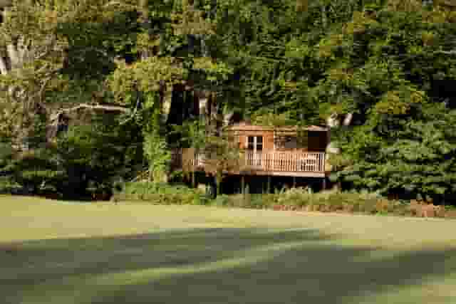 The Treehouse