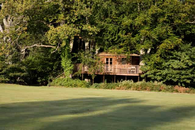 The Treehouse