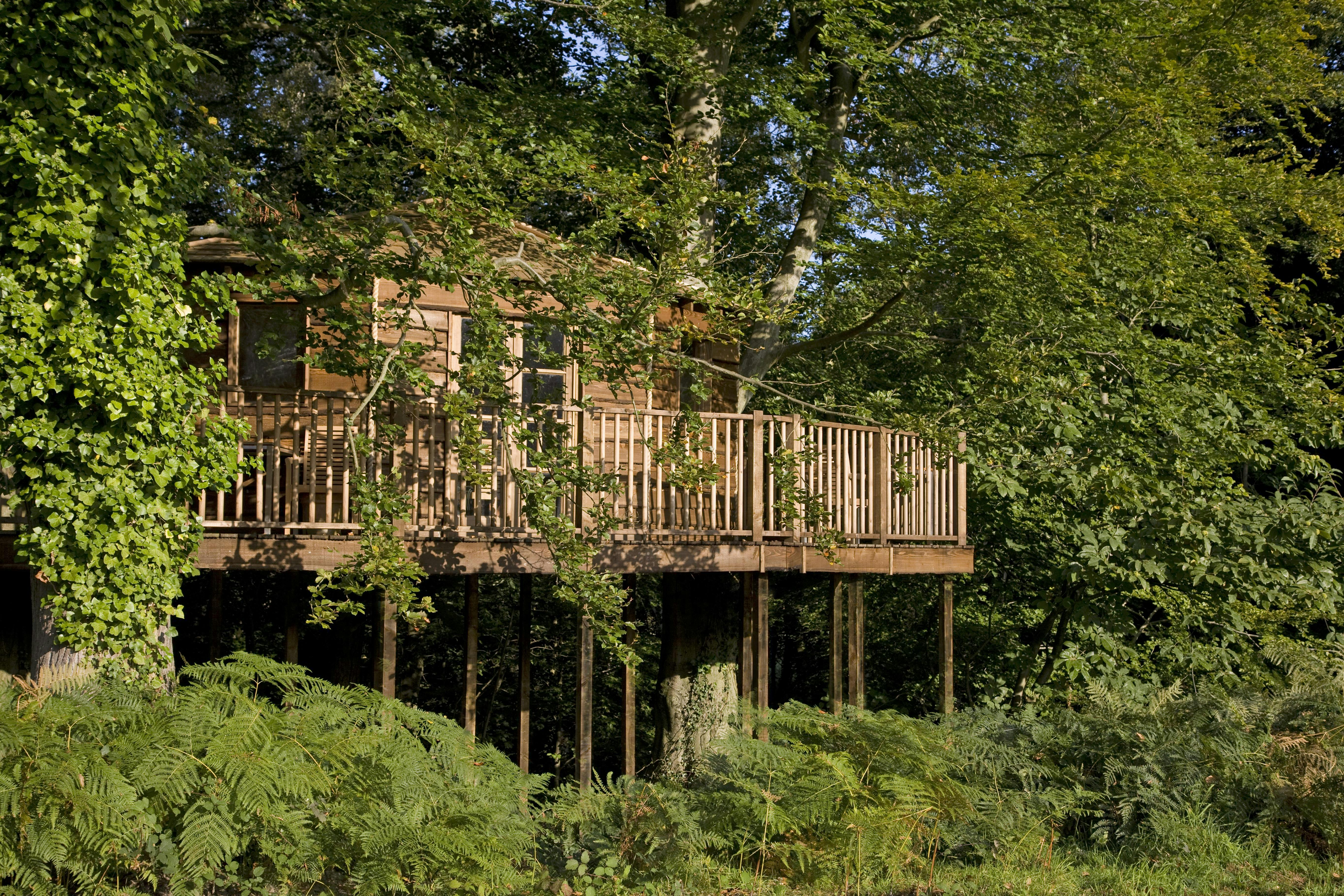 Charming treehouse at New Place Hotel, ideal for team-building retreats in Hampshire.