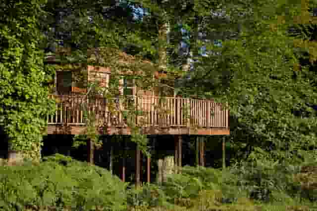The Treehouse