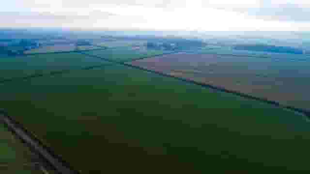 Ashley Showground