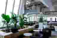 Christmas Party Venues