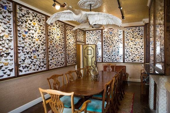 The Butterfly Room at The King's Head Club, featuring butterfly decor for creative workshops.