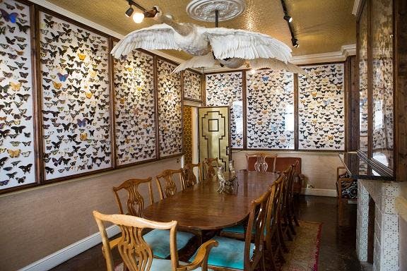 The Butterfly Room at The King's Head Club, featuring butterfly displays for meetings.
