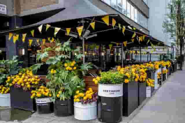 The Greyhound Cafe