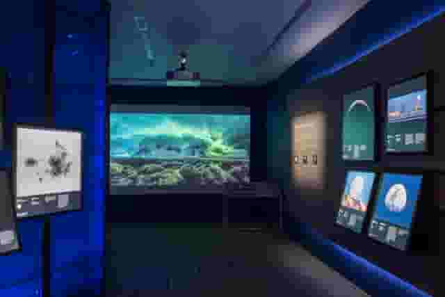 Astronomy Photography Gallery 