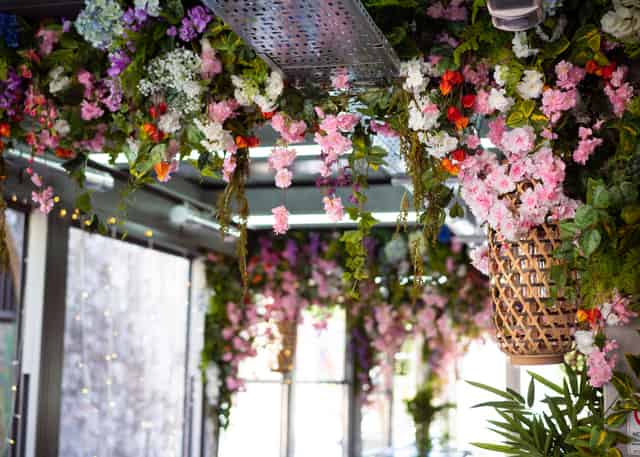 Cherry Blossom Private Terrace