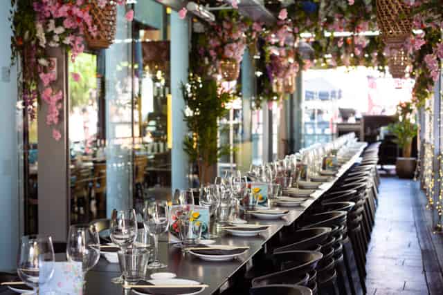Cherry Blossom Private Terrace