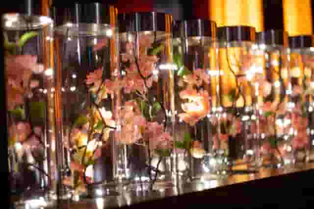 Bar Area