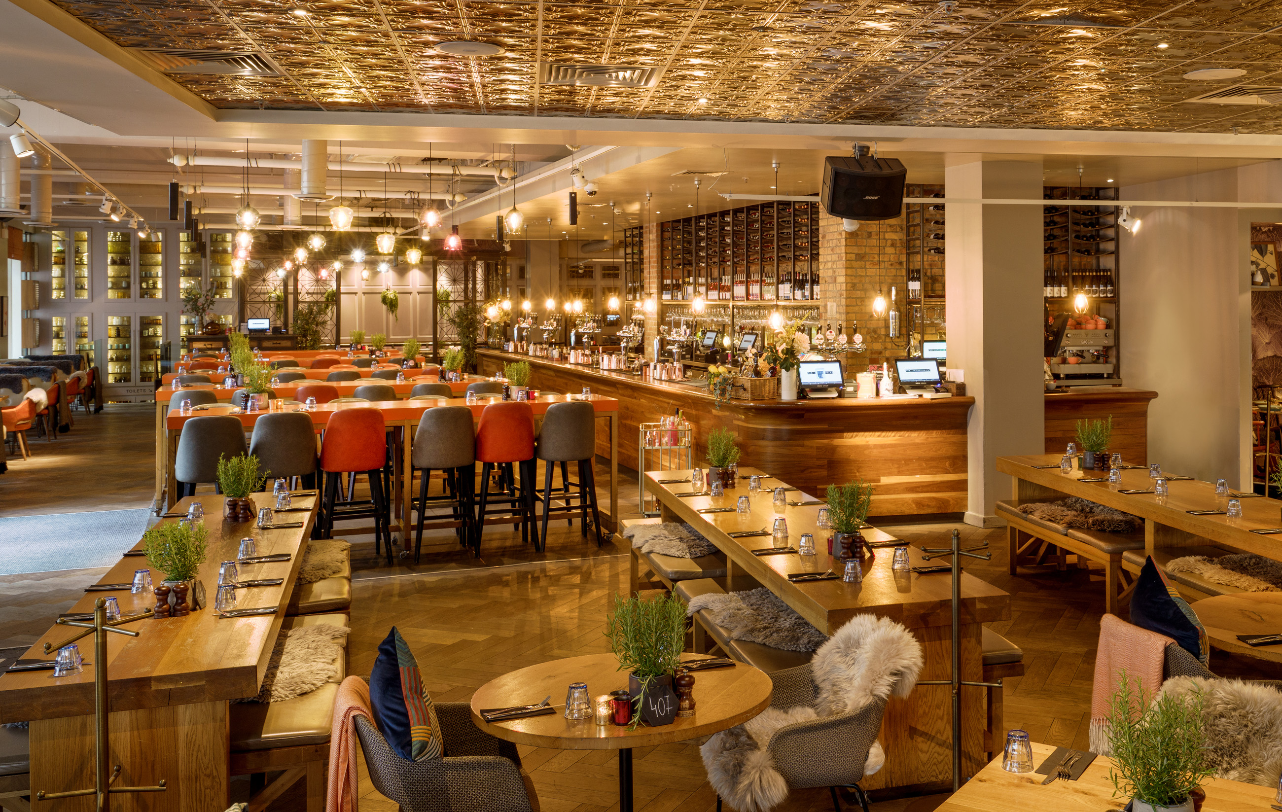 The Anthologist - image 1
