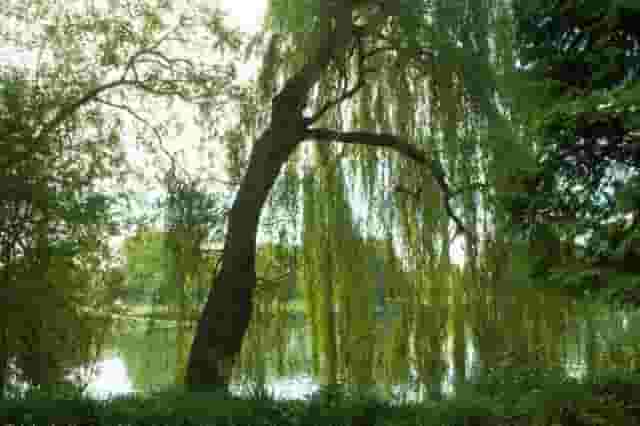 Secret River Garden