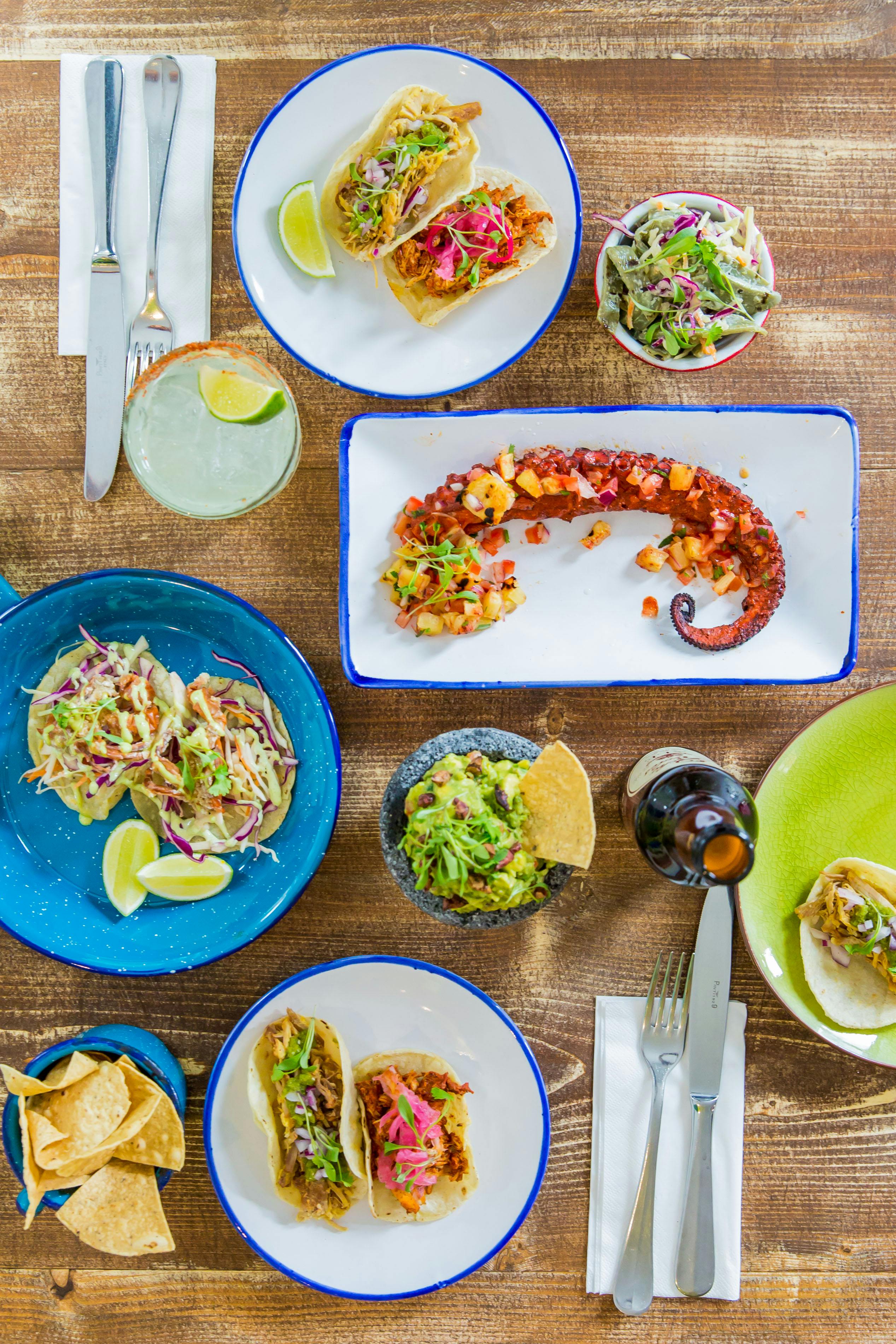 Gourmet octopus and tacos in Agave Dining Room, perfect for events and catering.