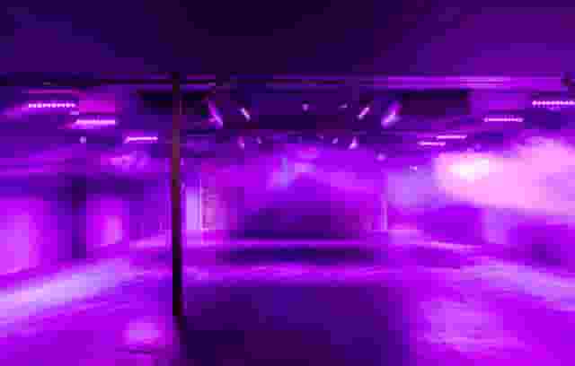 Blackbox