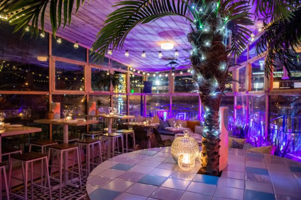 Vibrant event space in Studio 48 with illuminated palm trees for social gatherings. - Banner
