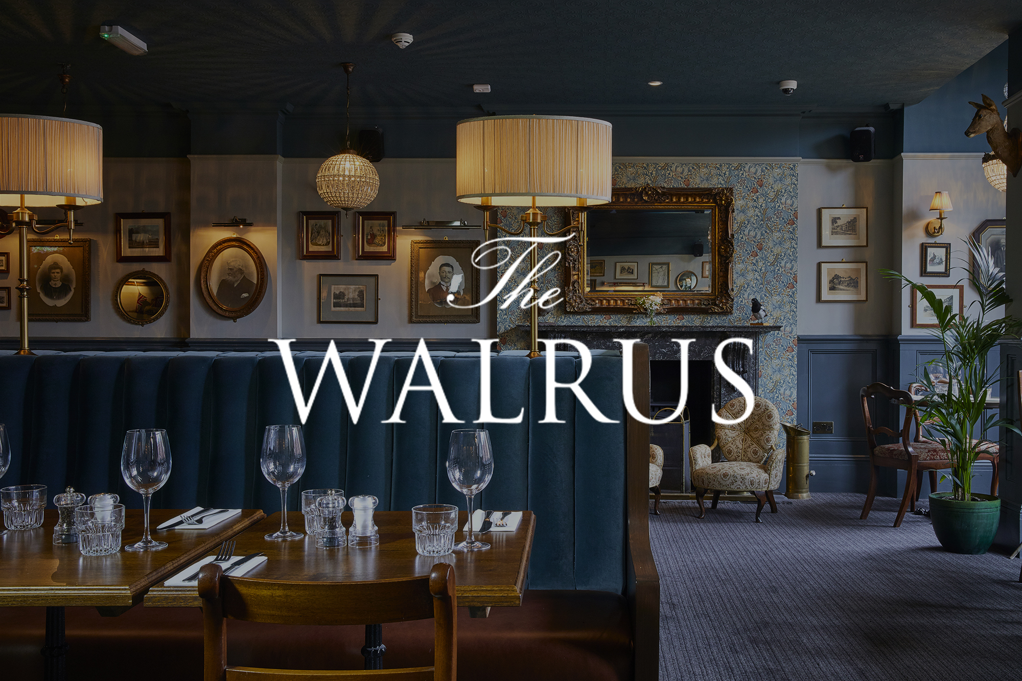 Brighton City Centre - Banner