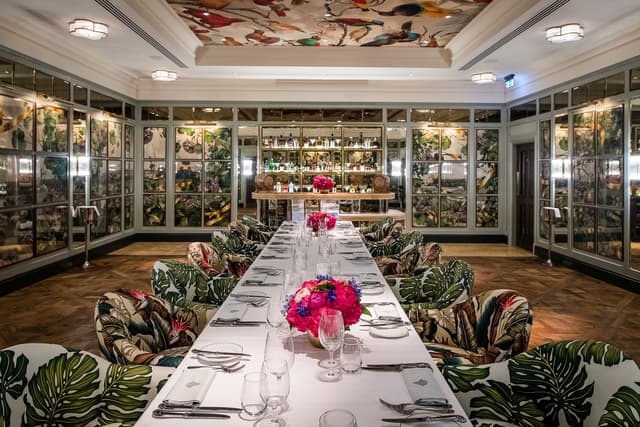The Ivy Dawson street