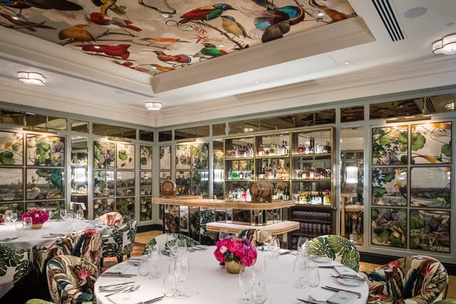 The Ivy Dawson street