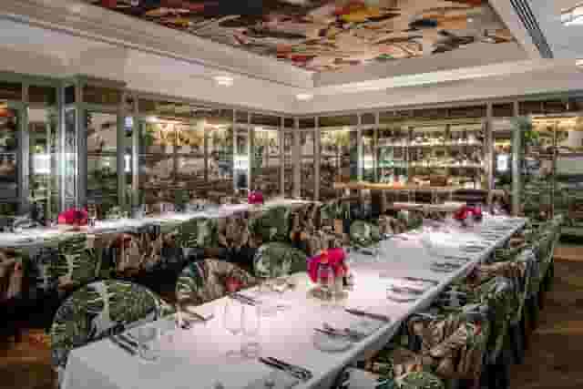 The Ivy Dawson street