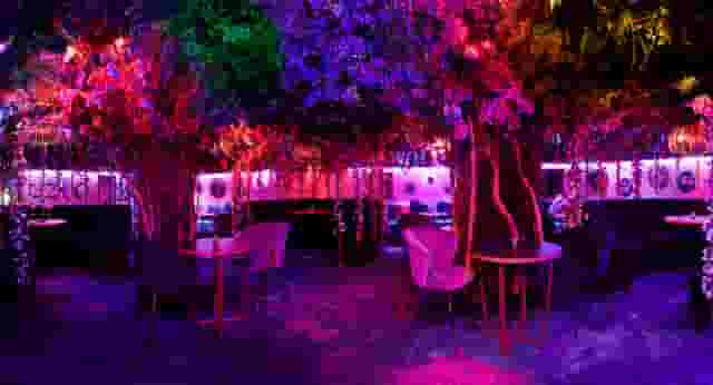 Le Jardin