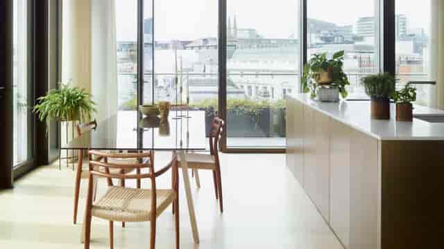 The White Haus - image 3