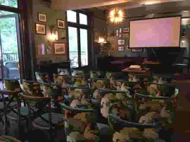 The Swan