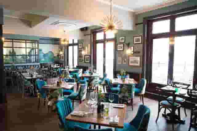 The Swan