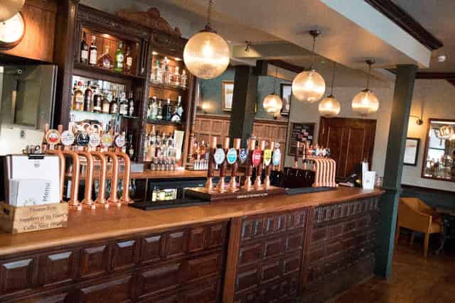 The Swan