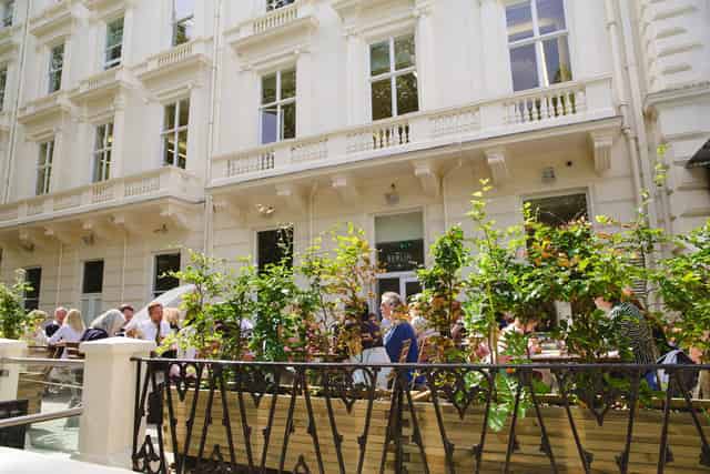 Terrace