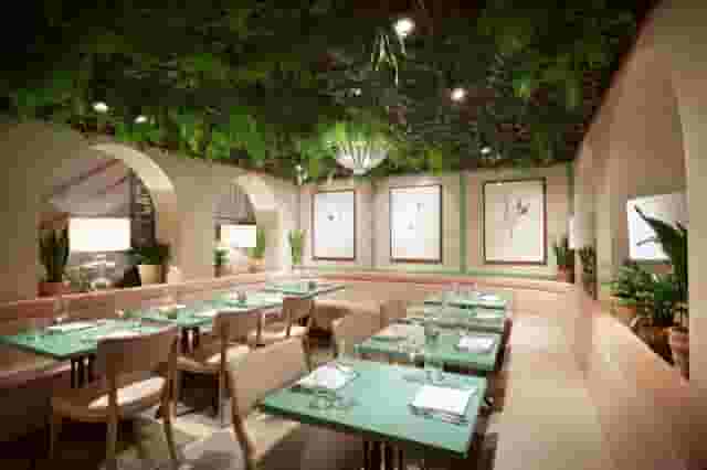 Kanishka Mayfair