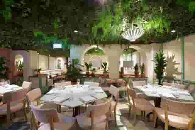 Kanishka Mayfair