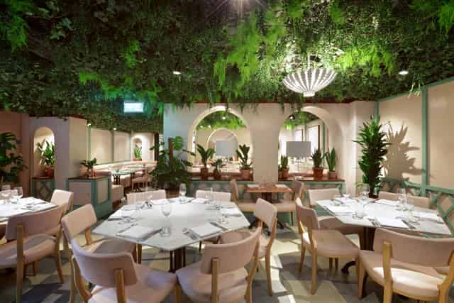 Kanishka Mayfair