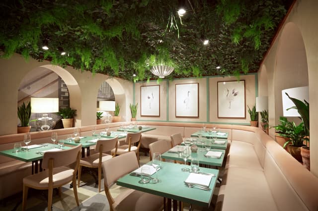 Kanishka Mayfair