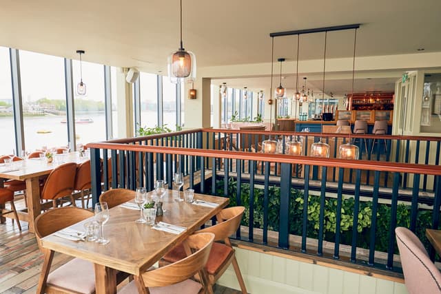 The Oystercatcher