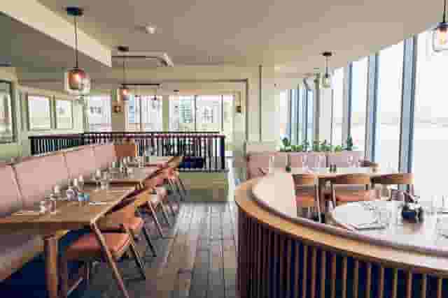 The Oystercatcher