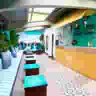 Drinks Venues