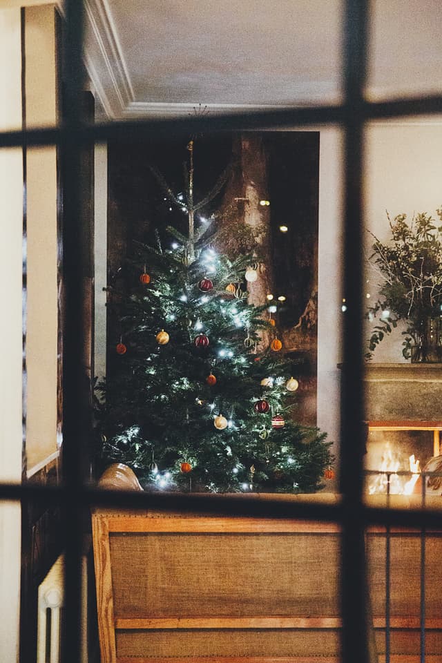 Festive Town House Party