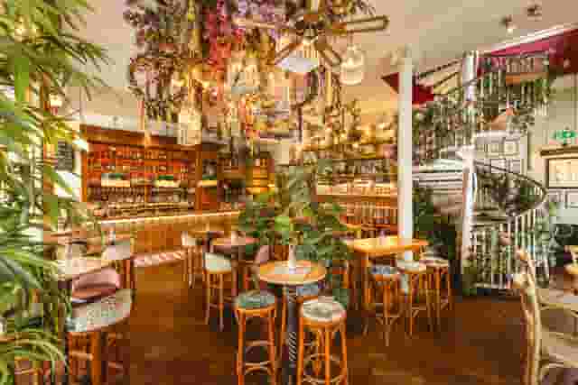 Mr Fogg's House of Botanical