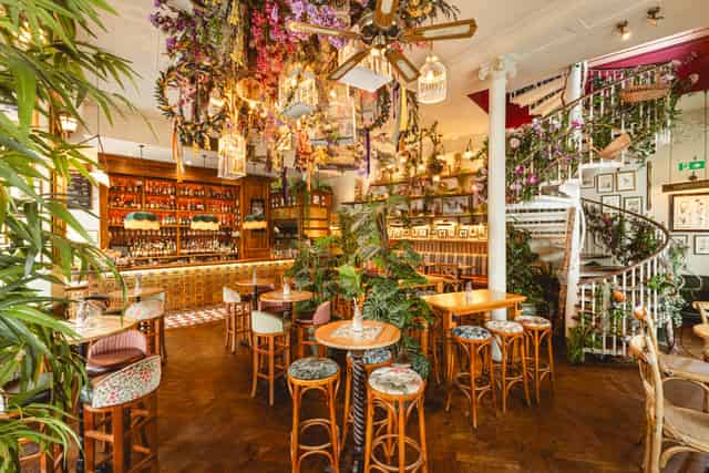 Mr Fogg's House of Botanical