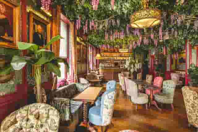 Mr Fogg's House of Botanical