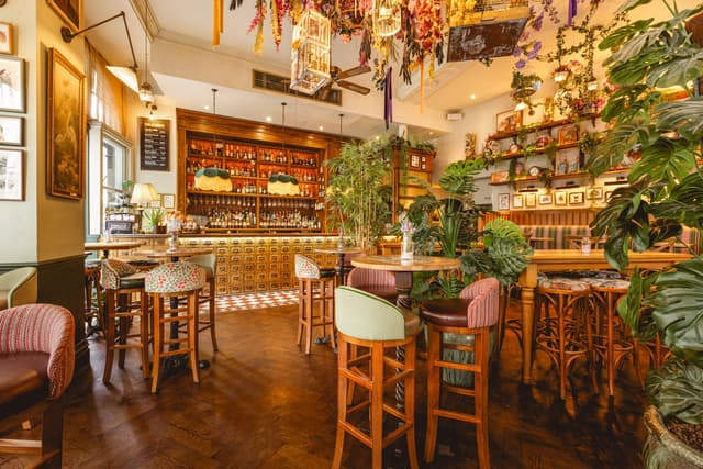 Mr Fogg's House of Botanical