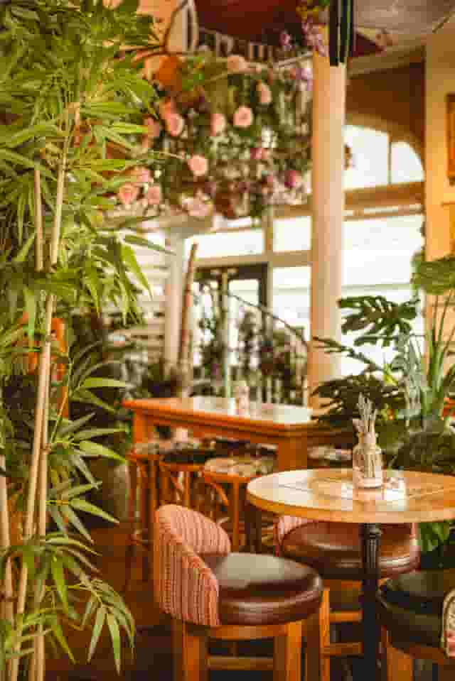 Mr Fogg's House of Botanical
