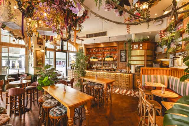 Mr Fogg's House of Botanical