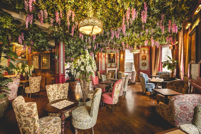 Mr Fogg's House of Botanical
