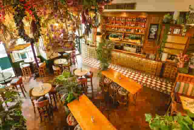 Mr Fogg's House of Botanical