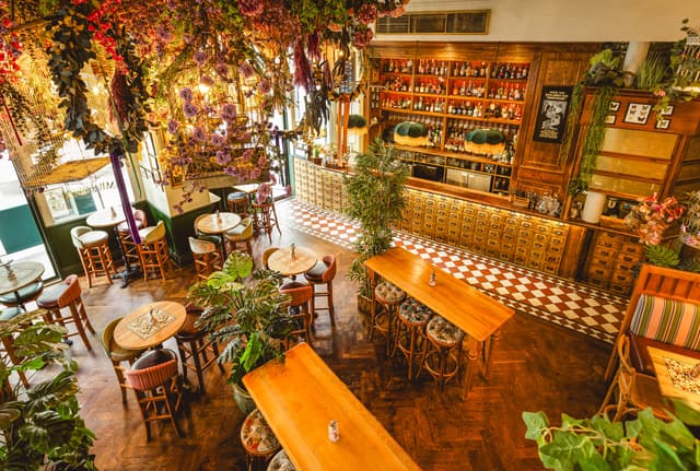 Mr Fogg's House of Botanical
