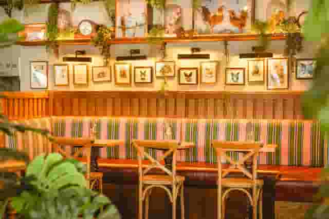 Mr Fogg's House of Botanical