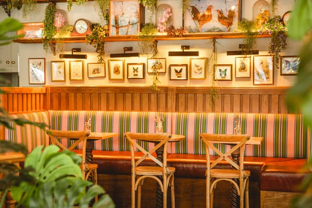 Mr Fogg's House of Botanical